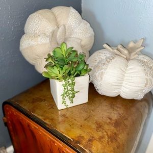 FAUX SUCCULENT PLANT ARRANGEMENT IN A SMALL POT